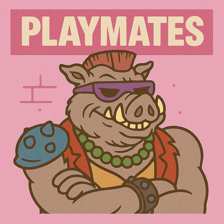 TMNT (PLAYMATES)