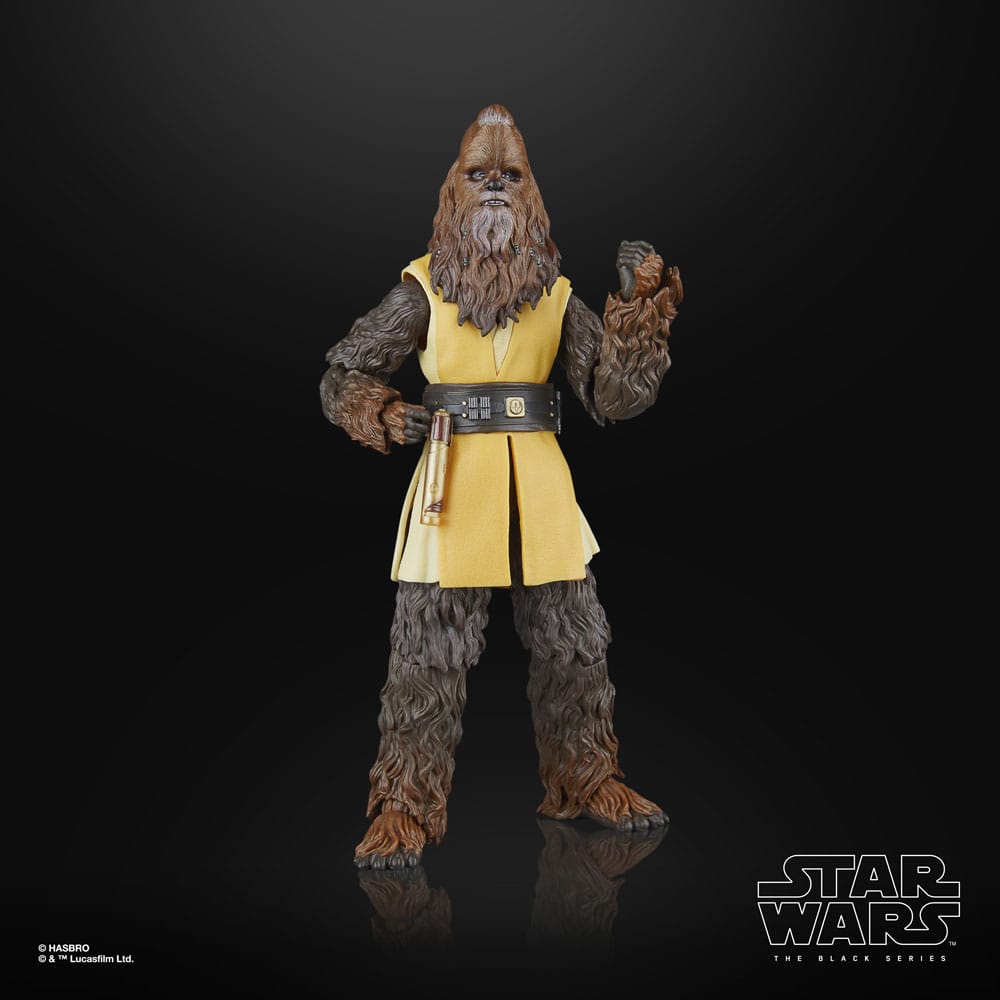 Star Wars: The Acolyte Black Series Actionfigur Jedi Master Kelnacca 15 cm