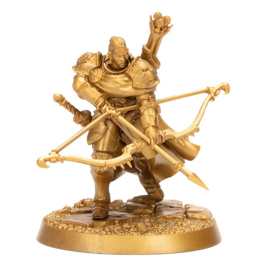 Warhammer Age of Sigmar Miniaturen Warhammer Heroes: Stormcast Eternals Display (8)