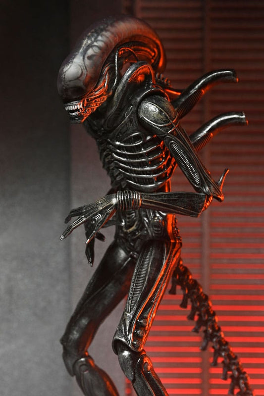 Alien: Romulus Actionfigur Ultimate Xenomorph XX121 18 cm