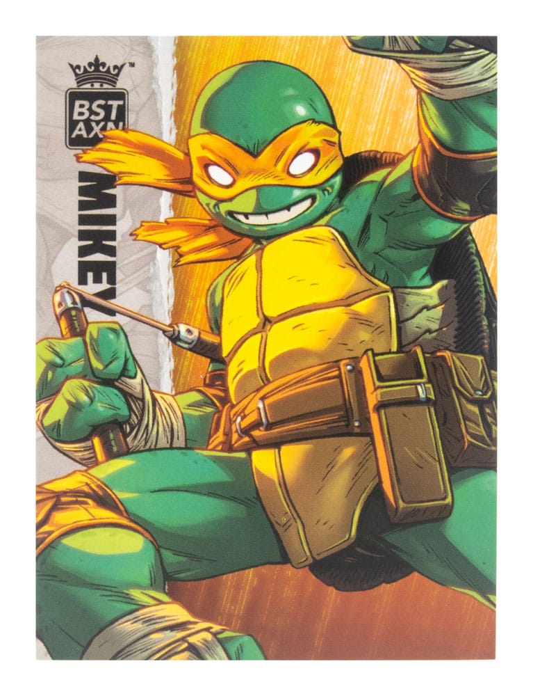 Teenage Mutant Ninja Turtles BST AXN Actionfigur Michelangelo (IDW Comics) 13 cm